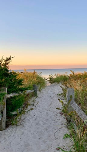 Sandy path through beach grass leading to the ocean at sunset